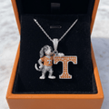 TVF Solid Gold Chain with Diamond Pendant HTTT